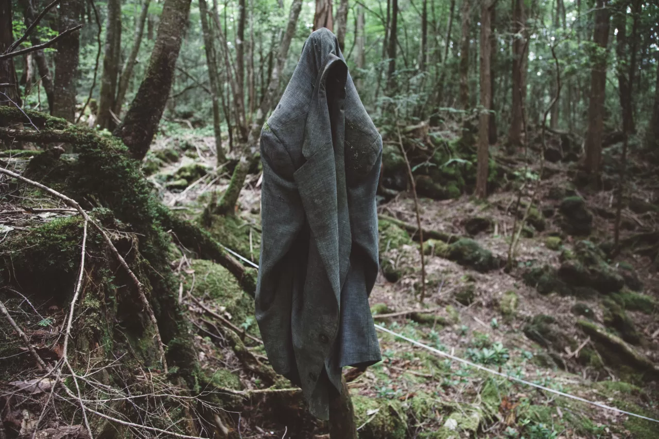 Aokigahara: Entre a Serenidade das Árvores e os Mistérios da Floresta dos Suicídios